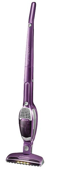 Aspirateur balai - Electrolux Ergorapido ZB2902