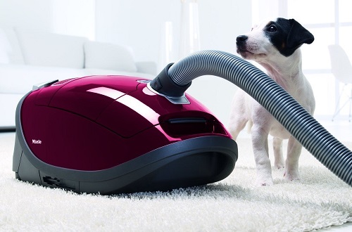 Aspirateur Miele - Complete C3 Cat&Dog PowerLine