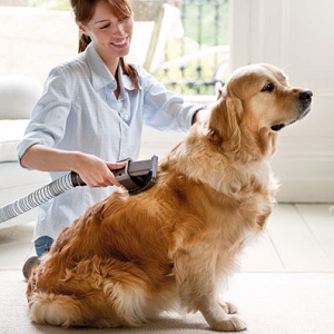 Aspirateur pour chien