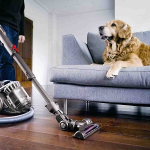 Meilleur aspirateur pour poils de chiens