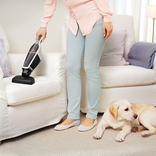 Aspirateur balai - Electrolux ErgoRapido ZB3230P Animal Care