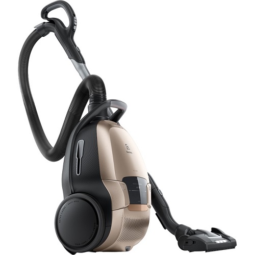 Aspirateur Electrolux - Pure D9