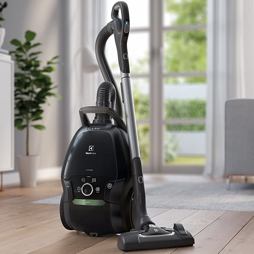 Aspirateur Electrolux - Pure D9 Green