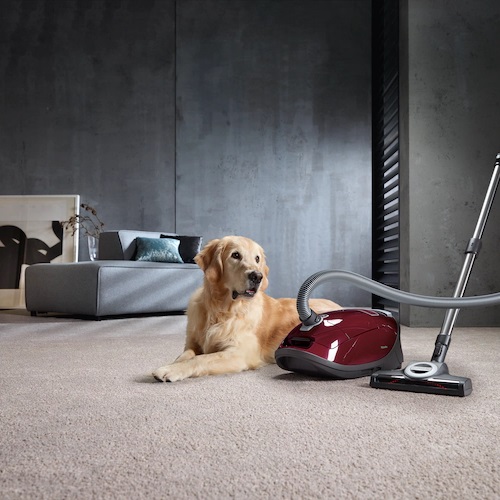 Aspirateur Miele - Complete C3 Cat&Dog PowerLine