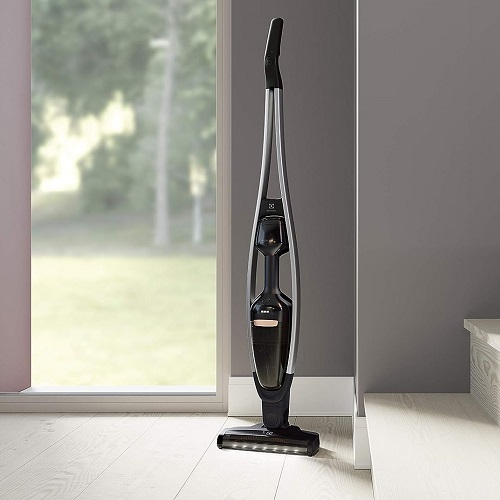 Aspirateur balai Electrolux - Pure Q9